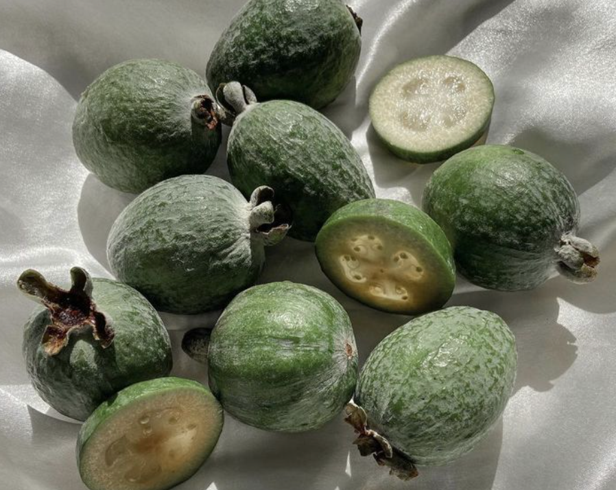 feijoa - Wax Melts
