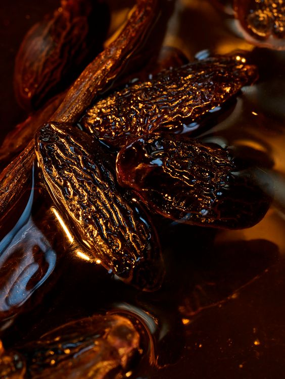 Tonka Bean & Amber - Candle